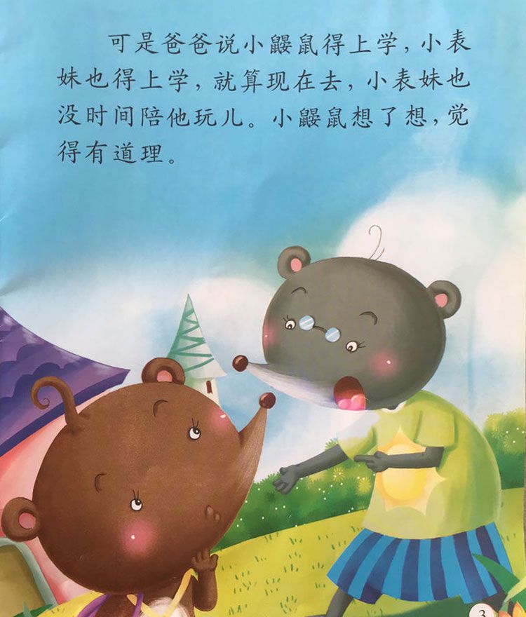 彩色的贝壳项链