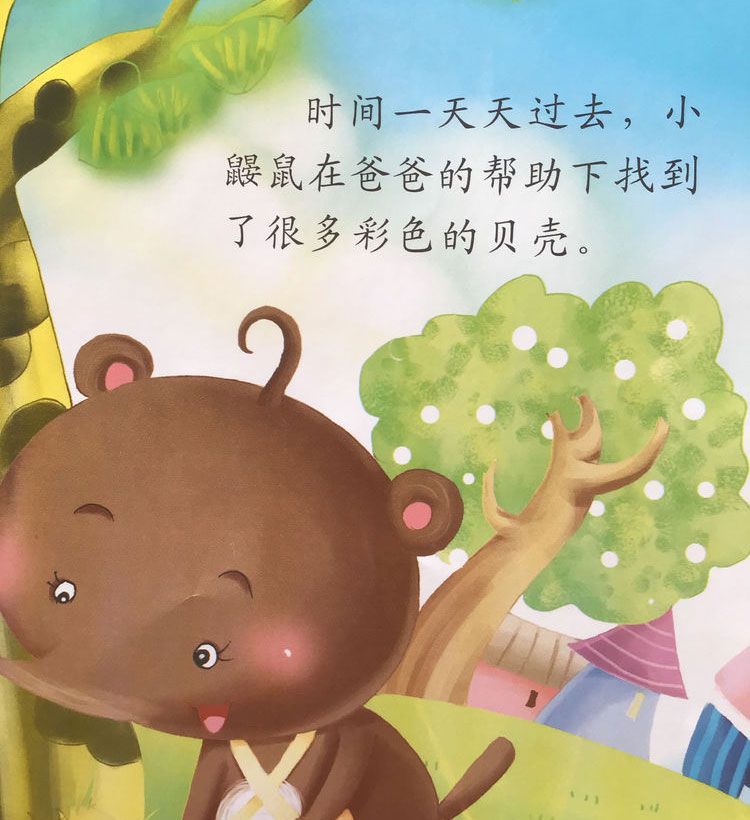 彩色的贝壳项链