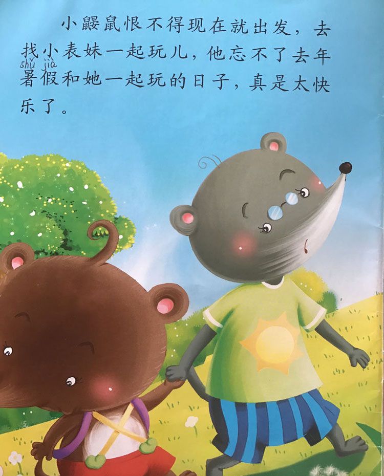 彩色的贝壳项链