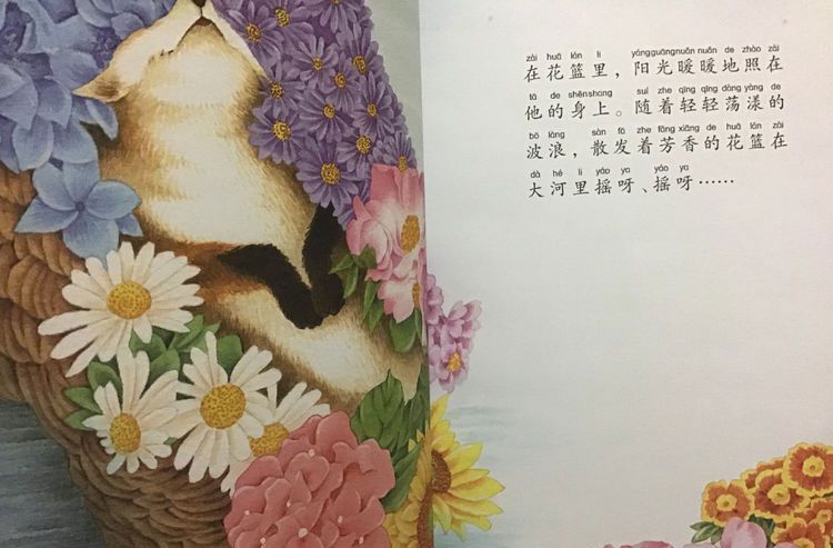 大河中的摇篮