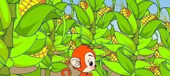 猴哥猴弟种玉米