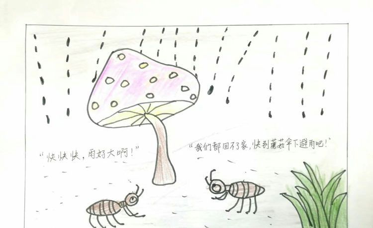 蚂蚁的蘑菇伞