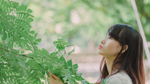 火爆小说萌宝来袭：大佬娘亲又炸场了！季云舒司辞鸿免费阅读