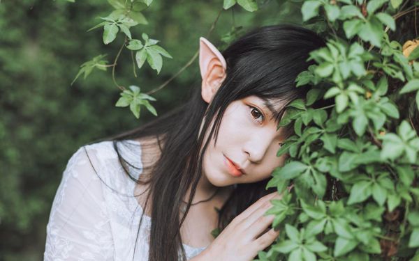 抖音热文分享安瑶路深热门章节阅读,安瑶路深小说免费版最新阅读