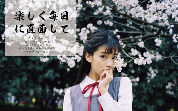 闪婚当天:夫人马甲上热搜了小说全文无删减版,闪婚当天:夫人马甲上热搜了叶冉冉顾聿琛全文免费阅读