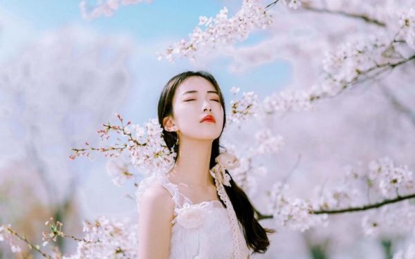 慕姗姗顾洪庆小说全集已完整版,慕姗姗顾洪庆最新章节阅读(今日更新最新章节)