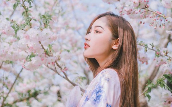 《陆太太,你已婚！》小说完整章节陆太太,你已婚！免费阅读