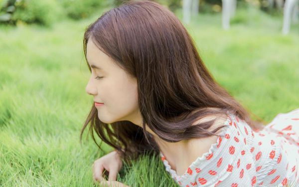 全章节完整版朝阳全阅读TXT上坟元宝