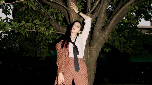 书名是沈未夏易琛讲的什么,免费小说沈未夏易琛全文阅读