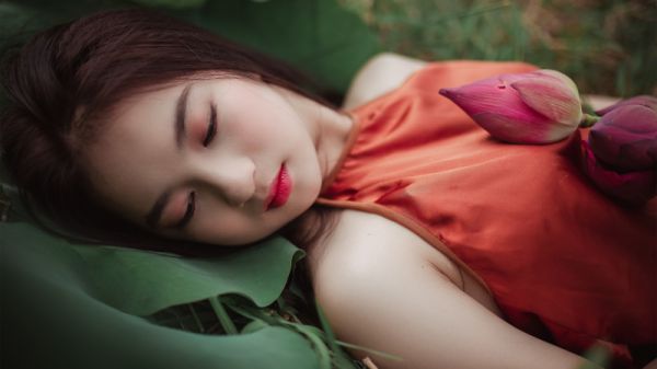 小说锦鲤之夏在哪里看免费