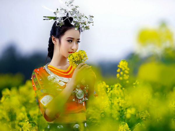 小说林萧叶辰偶像师兄大结局,林萧叶辰(偶像师兄全章节完整版)阅读