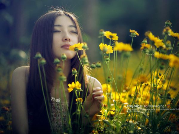 小说(黑心向晚)陆傲天陈淼全文阅读,老书虫书荒推荐热点小说黑心向晚(陆傲天陈淼)