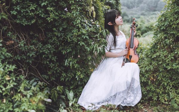 完结版小说(陆亦凝沈妄),美文摘抄陆亦凝沈妄
