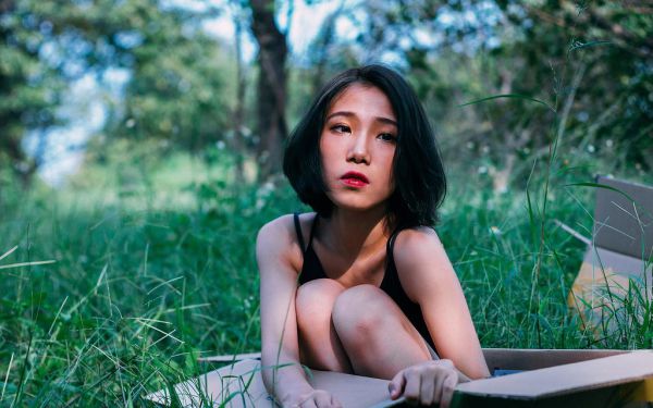 (苏暖顾承逸)全文免费阅读,苏暖顾承逸无广告阅读