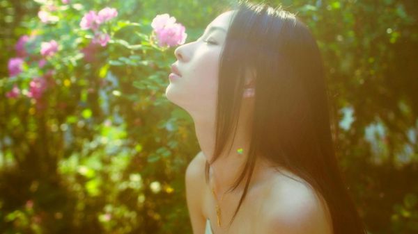 苏夜寒柳如烟小说全文阅读 苏夜寒柳如烟第1章