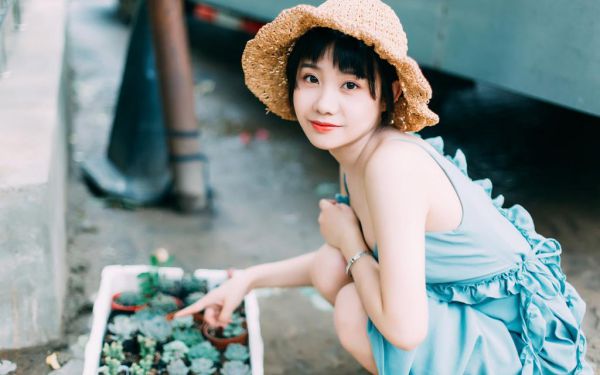 林希晨严书臣最新章节免费阅读,微小说林希晨严书臣