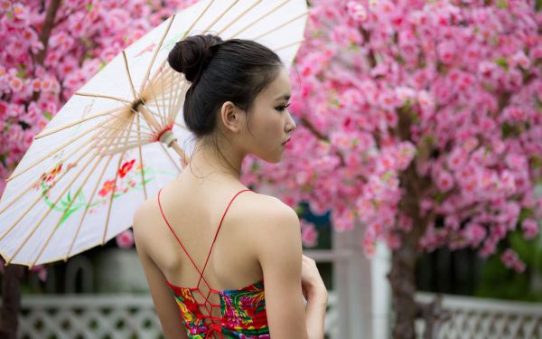 许心宁孟彦行许心宁孟彦行小说哪里能看,许心宁孟彦行全文免费阅读无弹窗