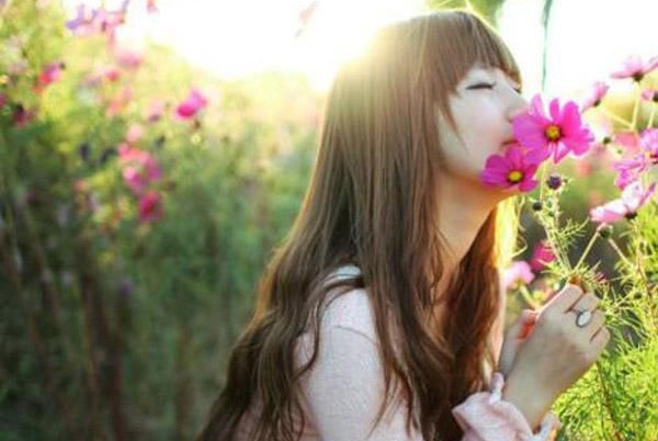 茶菁君渊的小说扫文,(茶菁君渊)小说免费阅读无弹窗