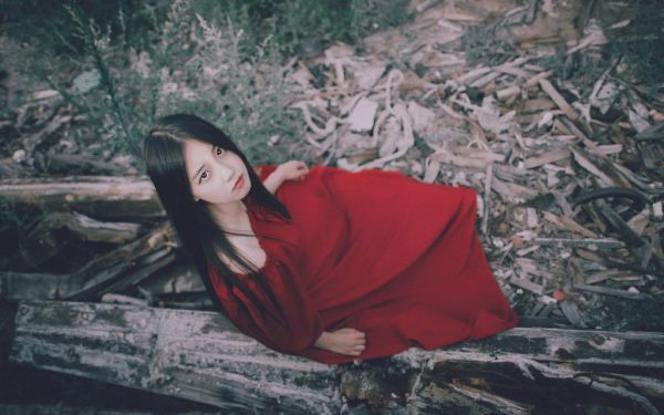 全文浏览妻子嫌我不育，为患癌白月光捐精必读文（陈宇苏丽蒋正杰）_妻子嫌我不育，为患癌白月光捐精必读文（陈宇苏丽蒋正杰）全文结局