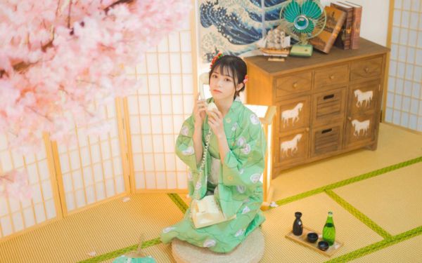 (抖音小说)宋安晴陈毅泽徐灵沁林正初小说全文阅读免费
