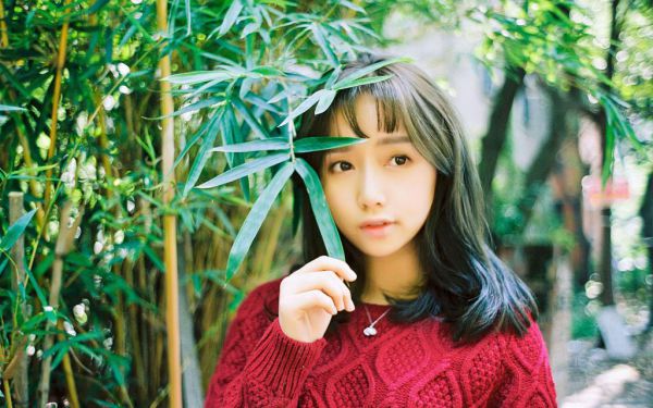 全文小说陆九州白瑜婚后撩人免费分享,全文小说婚后撩人