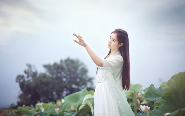 许昭昭沈淮序小说是什么名字,男主叫许昭昭沈淮序小说哪里能看