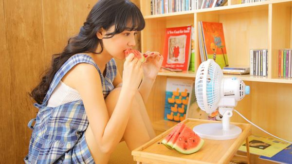江如鸢季野小说阅读,新上热文江如鸢季野小说推荐阅读