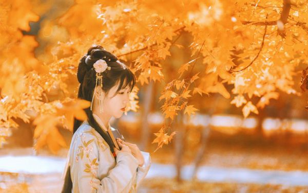 颜洛江辞小说盘点讲的是什么,小说颜洛江辞免费阅读
