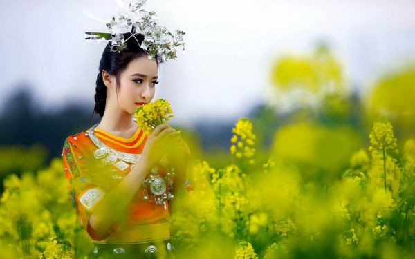 顾岁岁秦辞灵小说,顾岁岁秦辞灵最新章节