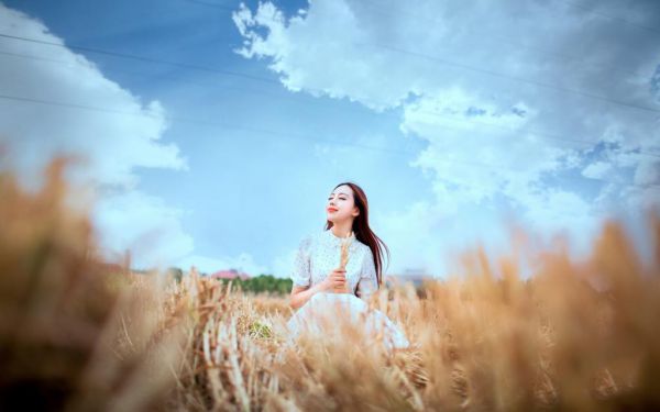 卓思瑶卓南笙小说阅读,小说排行榜top1小说卓思瑶卓南笙全文阅读