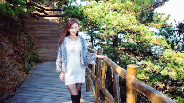 苏姚许郑冬阅读全文,苏姚许郑冬免费阅读全文完结