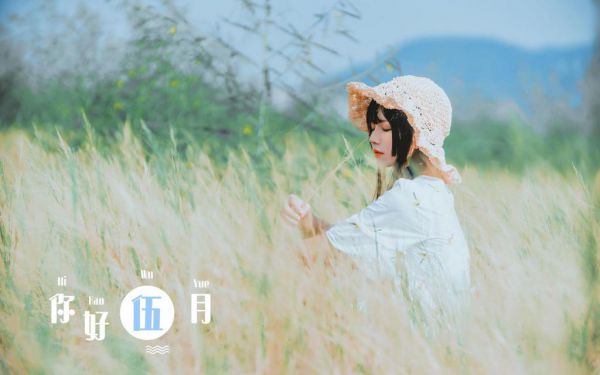男主叫一生所幸,乃生华夏的小说讲的什么,一生所幸,乃生华夏的小说苏辰全文阅读