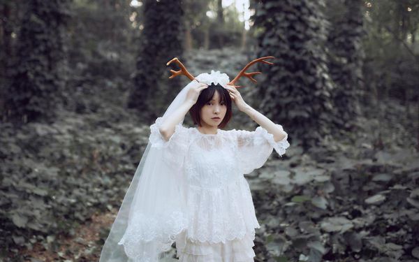 沐雅芙衣兮月男女主小说(沐雅芙衣兮月)大结局阅读