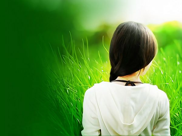 主角为白苗苗凌景宸的小说,白苗苗凌景宸热门小说全文免费阅读