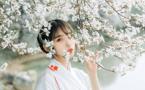 姜南枝顾煜是什么小说,姜南枝顾煜小说书名是姜南枝顾煜