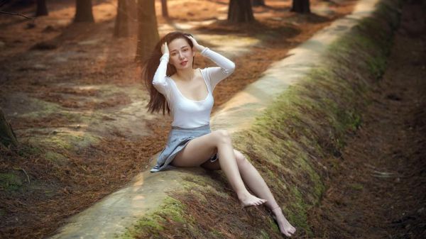 现代豪门小说失心恶果阅读全本,江书泽陈恩宁小说免费小说失心恶果在线阅读