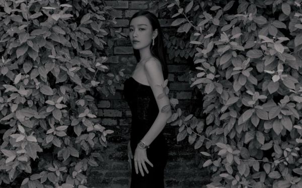 小说林悠悠傅观澜精选片段阅读,正版小说林悠悠傅观澜全文阅读