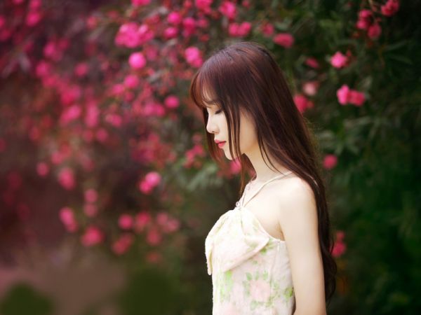 小说时夏顾之川免费观看,小说时夏顾之川大结局完整版阅读
