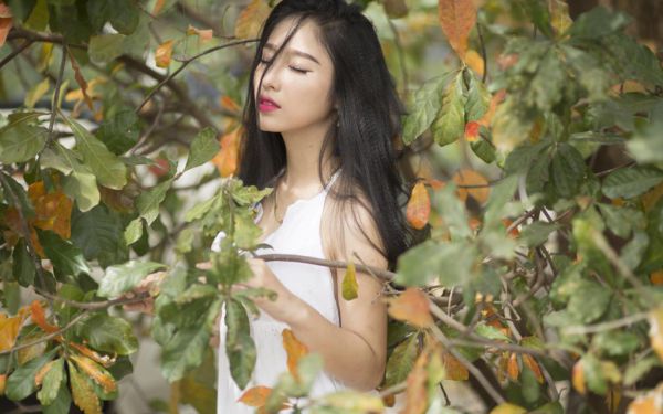 小说推荐苏晚梨江肆精彩章节阅读,老书虫书荒推荐热点小说苏晚梨江肆