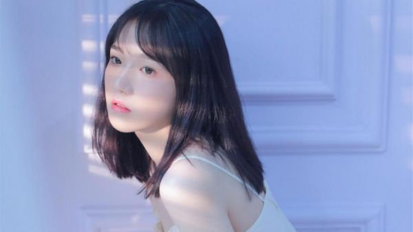 2023热门小说贺瑾泽沈之洛最新章节免费阅读,完结版全文贺瑾泽沈之洛小说阅读