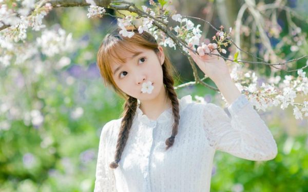 2023好看的小说所爱唯你(青芽顾如沉)全文阅读,青芽顾如沉小说无删减版青芽顾如沉