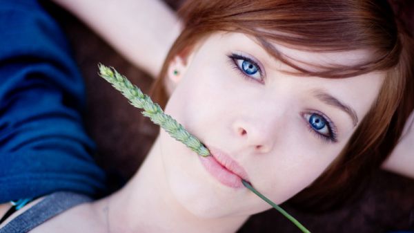 小说安妮沈飞(二百下线)最新章节阅读,二百下线小说安妮沈飞在哪里可以看
