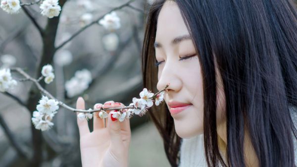 高质量小说魏伊晴秦从轩推荐阅读,魏伊晴秦从轩知乎小说