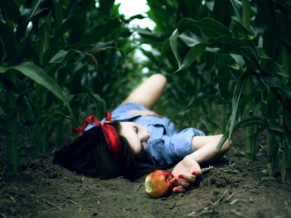 竹马落花(贺放闻栀)全文免费阅读无弹窗大结局,竹马落花贺放闻栀最新章节列表(竹马落花)
