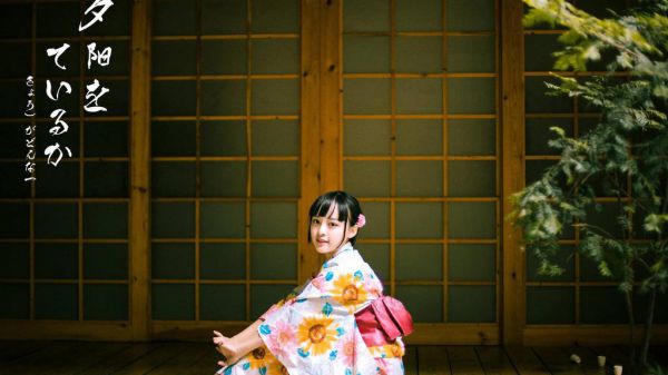 言情小说榜单夏难掩暑秦苛黎愿阅读全文(夏难掩暑),秦苛黎愿完整版免费小说