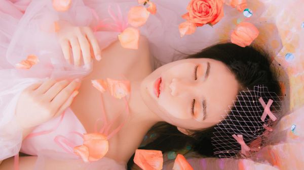 小说陆墨江棠免费观看,2023最火热点小说陆墨江棠最新更新