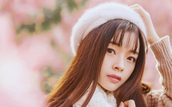 陆丽芝顾隽小说叫什么名字 陆丽芝顾隽全文免费阅读