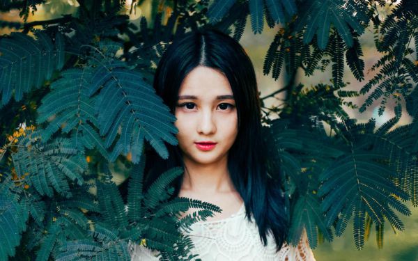 律师大人,轻点疼(律师大人,轻点疼),(陆瑾言洛心)全文免费阅读