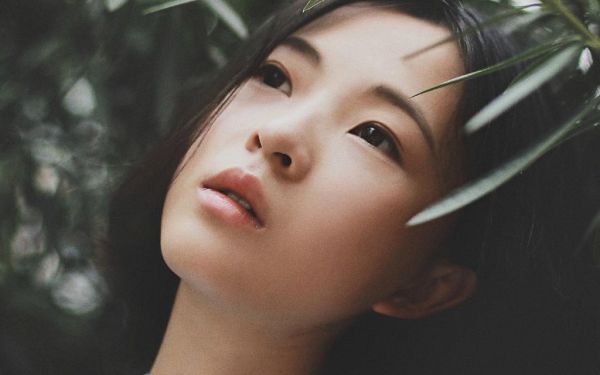 容晚沈弈全文免费阅读,小说推荐容晚沈弈精彩章节阅读