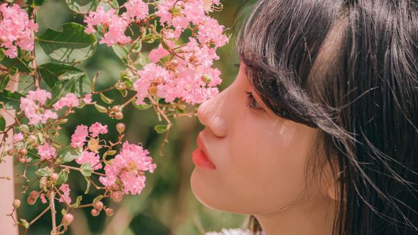 李暮芸楚天逸高甜免费小说最新章节-李暮芸楚天逸全文无弹窗免费阅读